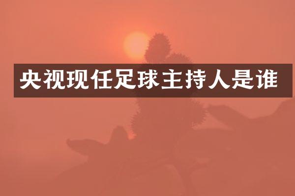 央视现任足球主持人是谁