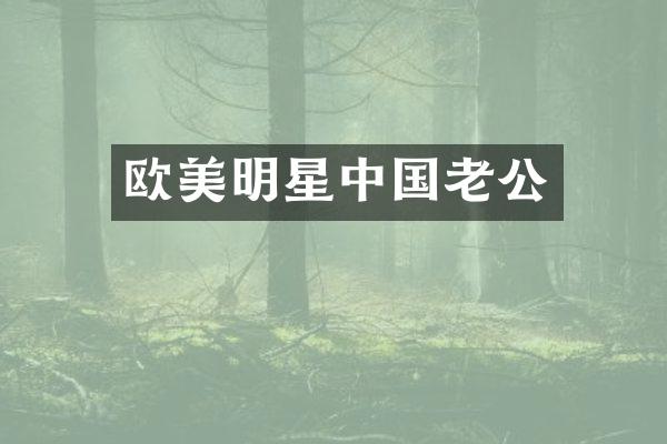 欧美明星中国老公