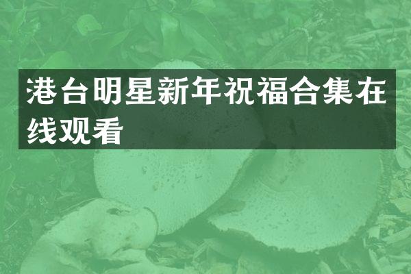 港台明星新年祝福在线观看