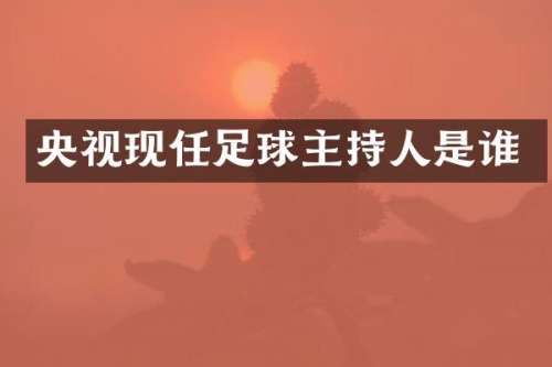 央视现任足球主持人是谁