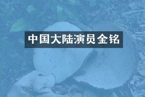 中国大陆演员金铭