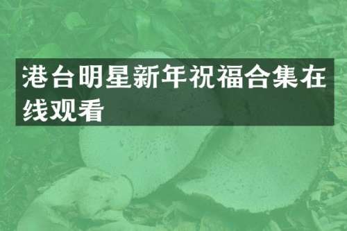 港台明星新年祝福在线观看