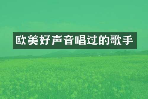 欧美好声音唱过的歌手