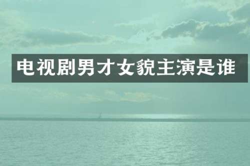 电视剧男才女貌主演是谁