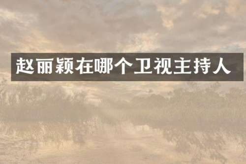 赵丽颖在哪个卫视主持人