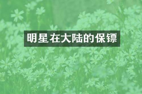 明星在大陆的保镖