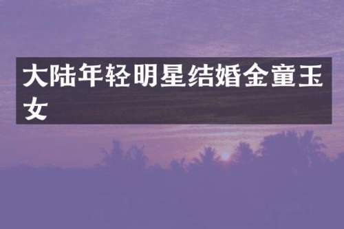 大陆年轻明星结婚金童玉女