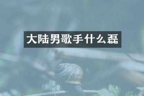 大陆男歌手什么磊