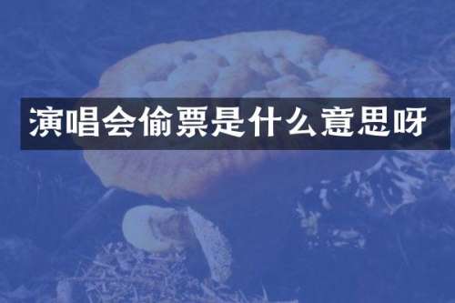 演唱会偷票是什么意思呀