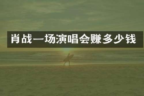 肖战一场演唱会赚多少钱
