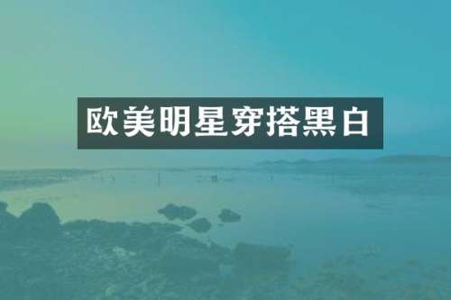 欧美明星穿搭黑白