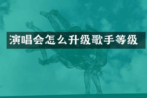 演唱会怎么升级歌手等级