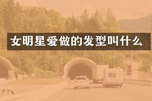 女明星爱做的发型叫什么