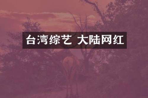 台湾综艺 大陆网红