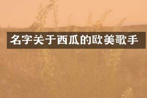名字关于西瓜的欧美歌手