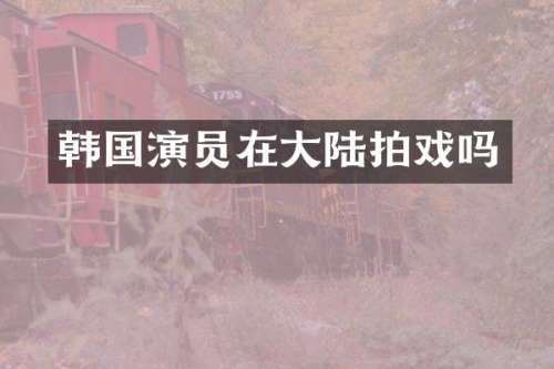 韩国演员在大陆拍戏吗