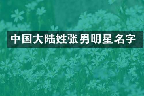中国大陆姓张男明星名字