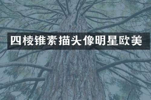 四棱锥素描头像明星欧美