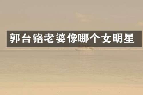 郭台铬老婆像哪个女明星