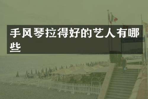 手风琴拉得好的艺人有哪些