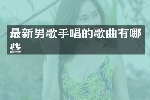 最新男歌手唱的歌曲有哪些