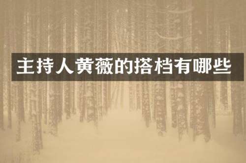 主持人黄薇的搭档有哪些