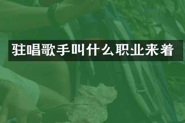 驻唱歌手叫什么职业来着