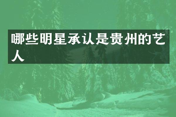 哪些明星承认是贵州的艺人