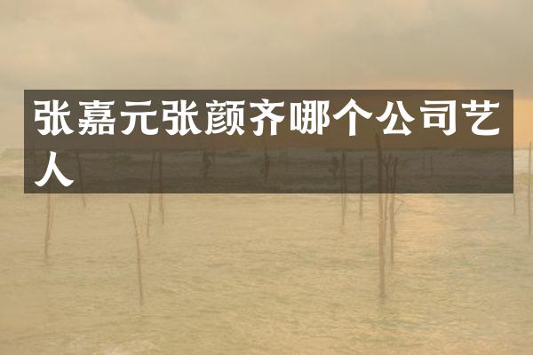 张嘉元张颜齐哪个公司艺人