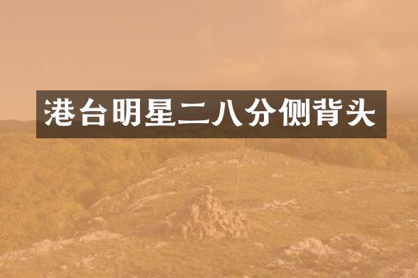 港台明星二八分侧背头