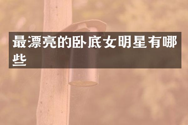 最漂亮的卧底女明星有哪些