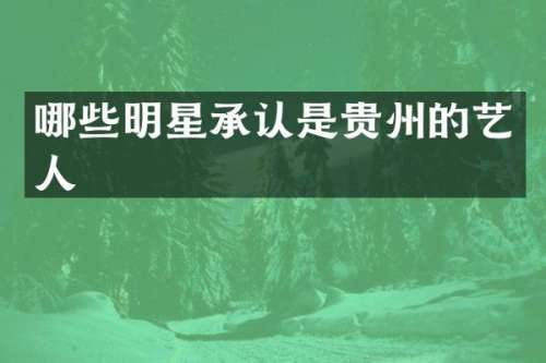 哪些明星承认是贵州的艺人