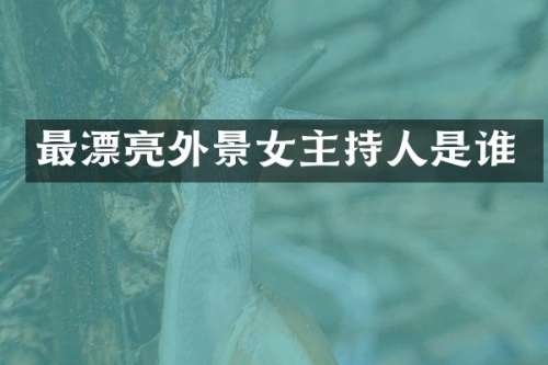 最漂亮外景女主持人是谁