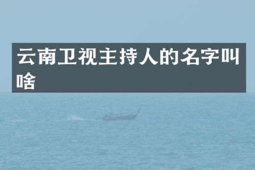 云南卫视主持人的名字叫啥