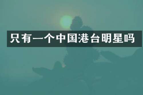 只有一个中国港台明星吗