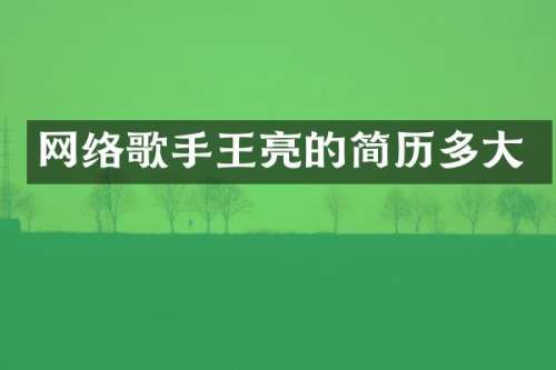 网络歌手王亮的简历多大