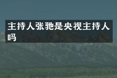 主持人张驰是央视主持人吗