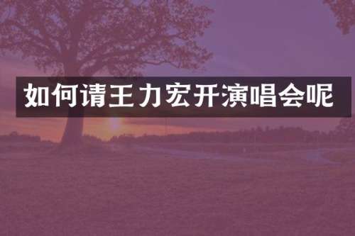 如何请王力宏开演唱会呢