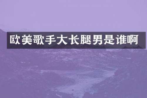 欧美歌手大长腿男是谁啊