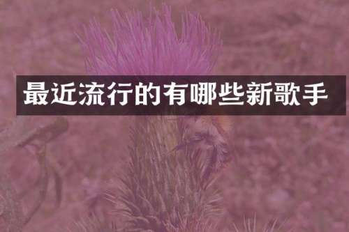 最近流行的有哪些新歌手