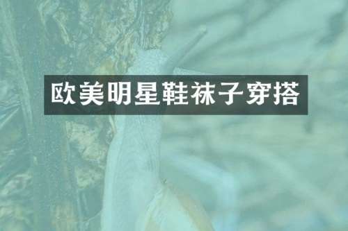欧美明星鞋袜子穿搭
