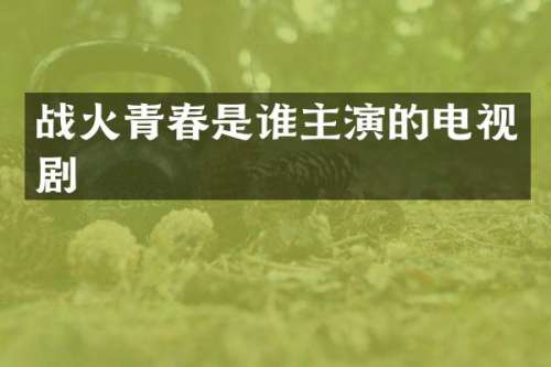 战火青春是谁主演的电视剧