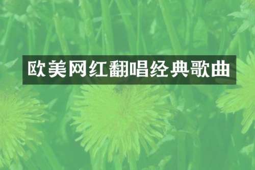 欧美网红翻唱经典歌曲