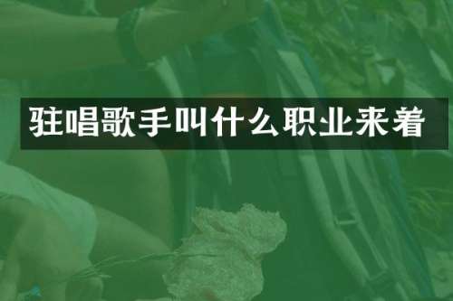 驻唱歌手叫什么职业来着