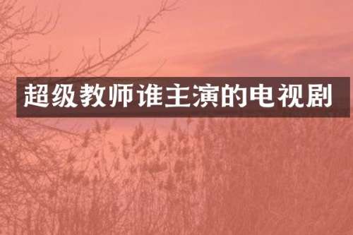 超级教师谁主演的电视剧