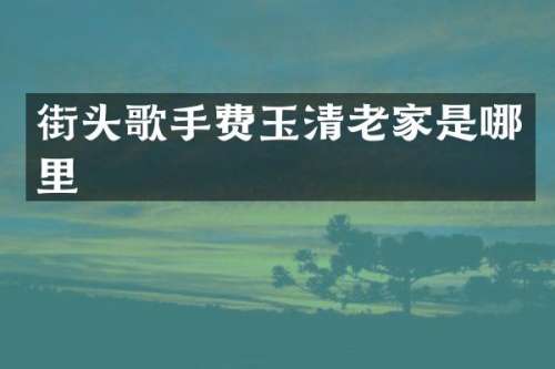 街头歌手费玉清老家是哪里