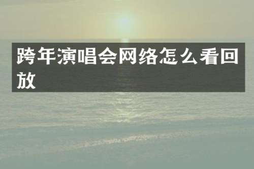 跨年演唱会网络怎么看回放