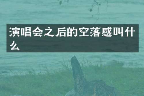演唱会之后的空落感叫什么