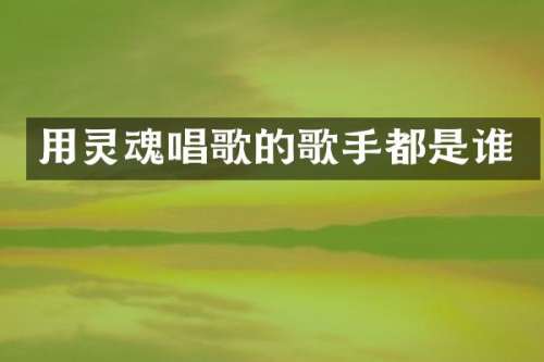 用灵魂唱歌的歌手都是谁