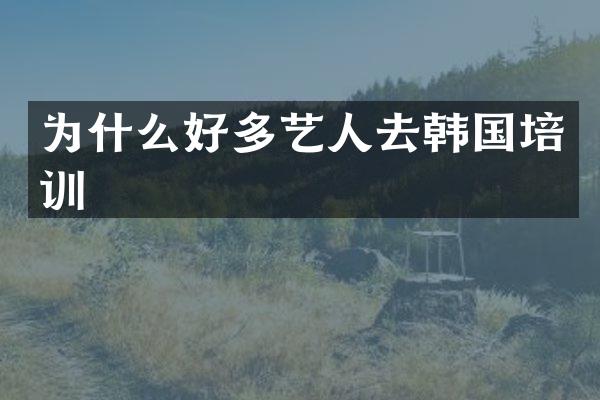 为什么好多艺人去韩国培训